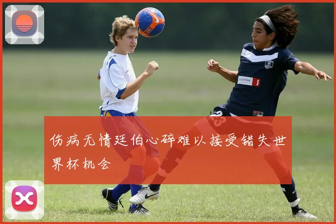 伤病无情廷伯心碎难以接受错失世界杯机会