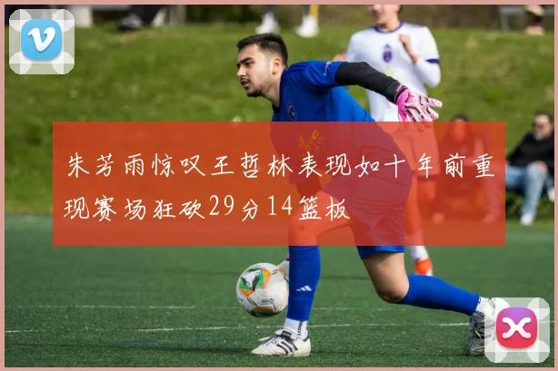 朱芳雨惊叹王哲林表现如十年前重现赛场狂砍29分14篮板